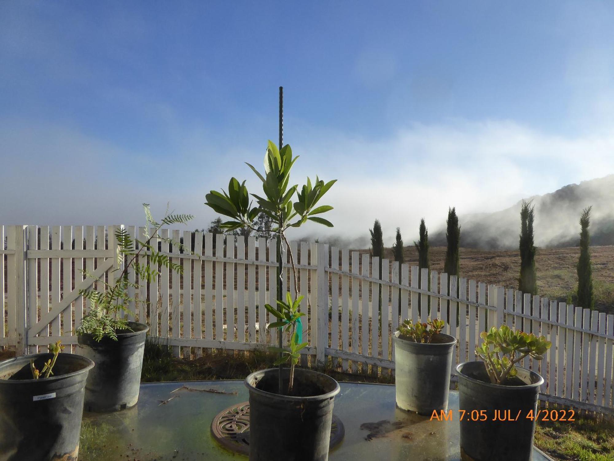 Mansion On The Hill Let 4 Rooms, 5Th Cost Extra Sage Exterior foto
